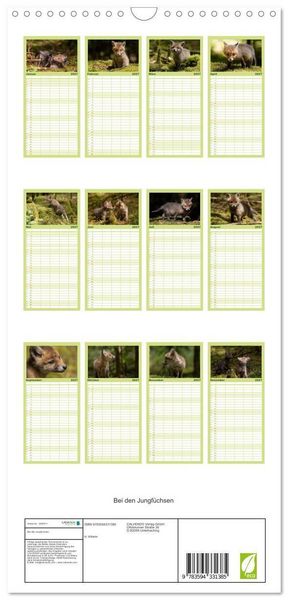 Produktbild: Familienplaner 2027 - Bei den Jungf&uuml;chsen mit 5 Spalten (Wandkalender, 21 x 45 cm) CALVENDO