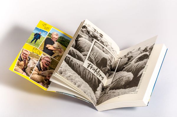 Eine Herde Schafe, ein Paar Gummistiefel und ein anderer Blick aufs Leben'  von 'Bärbel Schäfer' - Buch - '978-3-466-37296-6