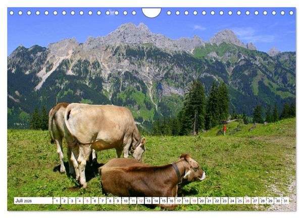Produktbild: Geliebtes Tirol. Alpiner Zauber in &Ouml;sterreich (Wandkalender 2026 DIN A4 quer), CALVENDO Monatskalender