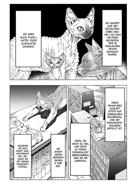 Produktbild: Night of the Living Cat 04 - Die Katze aus einer anderen Welt - D-Rex