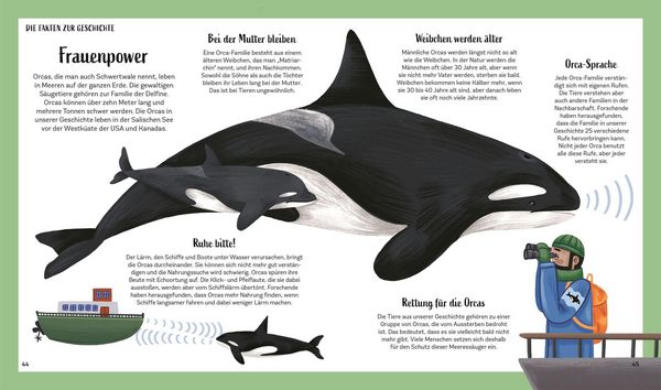 Produktbild: Tiergeschichten zum Tr&auml;umen. Zauber des Meeres