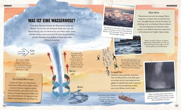 Produktbild: Erstaunliche Welt der Ozeane
