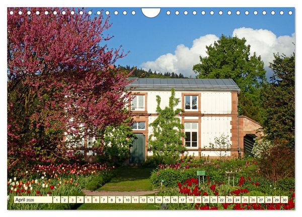 Produktbild: Weinheim im Laufe der Jahreszeiten (Wandkalender 2026 DIN A4 quer), CALVENDO Monatskalender