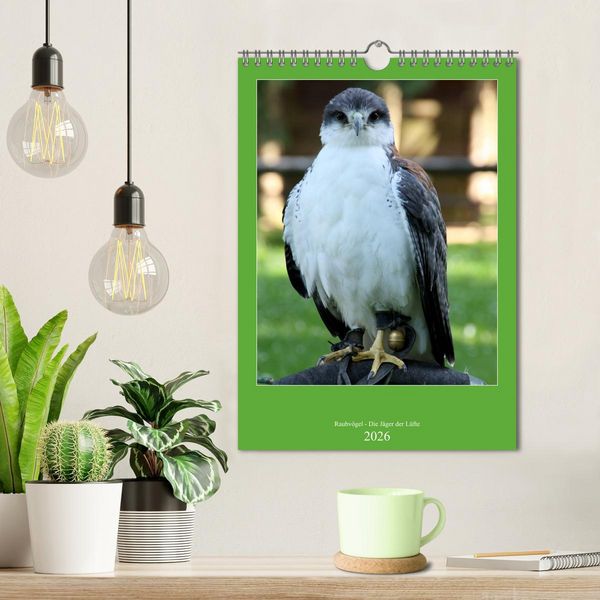 Produktbild: Raubv&ouml;gel - Die J&auml;ger der L&uuml;fte (Wandkalender 2026 DIN A4 hoch), CALVENDO Monatskalender
