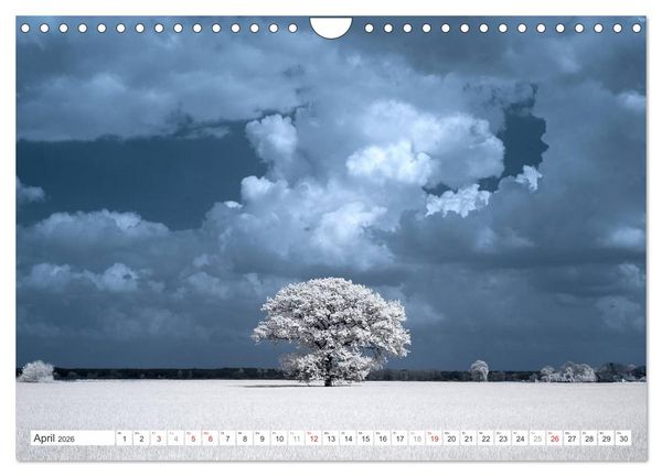 Produktbild: Zauberhafte Infrarot-Fotografie (Wandkalender 2026 DIN A4 quer), CALVENDO Monatskalender