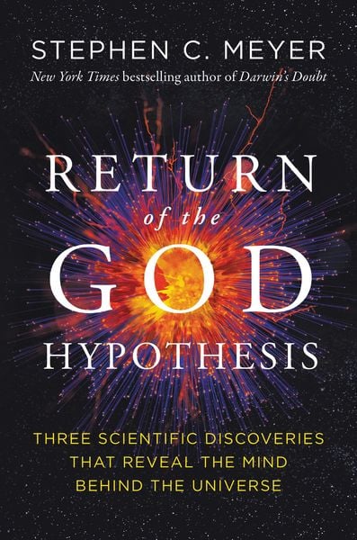 Produktbild: Return of the God Hypothesis
