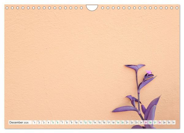 Produktbild: Burano and Minimalism (Wall Calendar 2026 DIN A4 landscape), CALVENDO 12 Month Wall Calendar