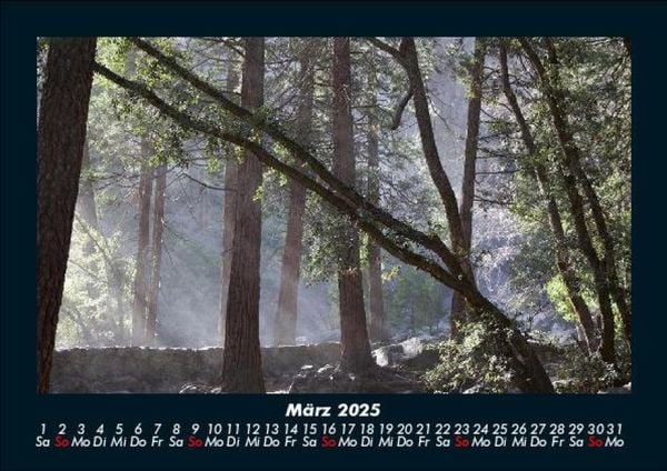 Produktbild: Bilder der Natur 2025 Fotokalender DIN A5