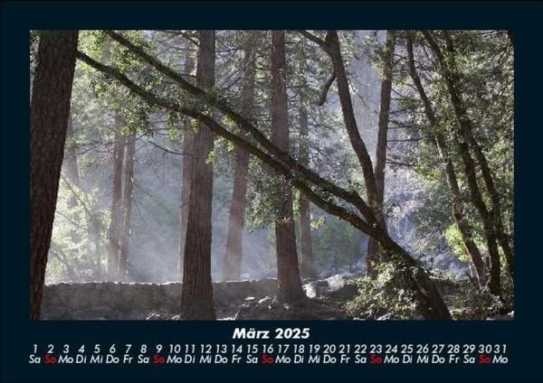 Produktbild: Bilder der Natur 2025 Fotokalender DIN A5