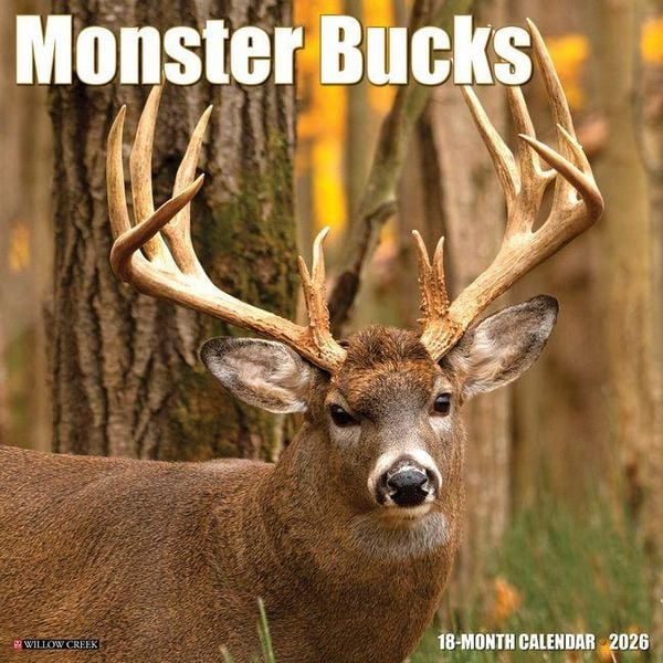 Produktbild: Monster Bucks 2026 12 X 12 Wall Calendar