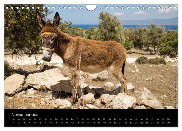 Produktbild: Zypern &ndash; Cyprus &ndash; Kypros (Wandkalender 2026 DIN A4 quer), CALVENDO Monatskalender