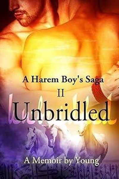 Produktbild: Unbridled (A Harem Boy's Saga Book 2)