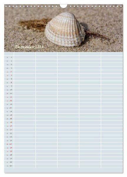 Produktbild: Kleine Sand-Sch&ouml;nheiten / Familienplaner (Wandkalender 2026 DIN A3 hoch), CALVENDO Monatskalender