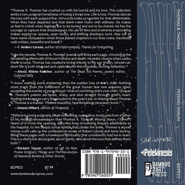Produktbild: Missing Shaun