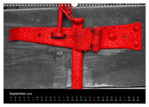 Produktbild: Blickfang in Rot (Wandkalender 2026 DIN A3 quer), CALVENDO Monatskalender