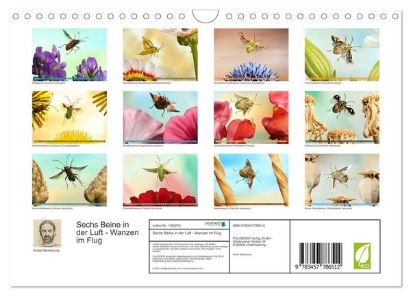 Produktbild: Sechs Beine in der Luft - Wanzen im Flug (Wandkalender 2026 DIN A4 quer), CALVENDO Monatskalender