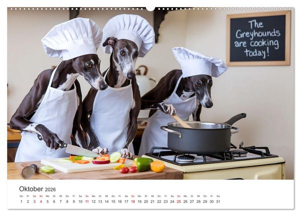 Produktbild: Funny Greyhounds - Windhunde mal anders (Wandkalender 2026 DIN A2 quer), CALVENDO Monatskalender