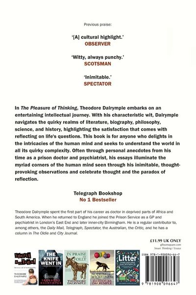 Produktbild: The Pleasure of Thinking