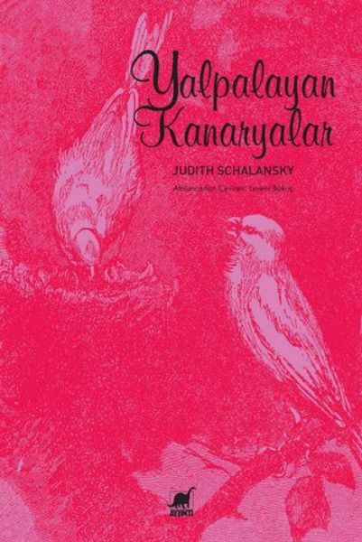 Produktbild: Yalpalayan Kanaryalar