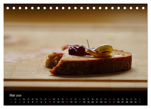 Produktbild: Kleine B&auml;nderschnecke ganz gro&szlig; - Gem&uuml;tlich durch das neue Jahr (Tischkalender 2026 DIN A5 quer), CALVENDO Monatskalender