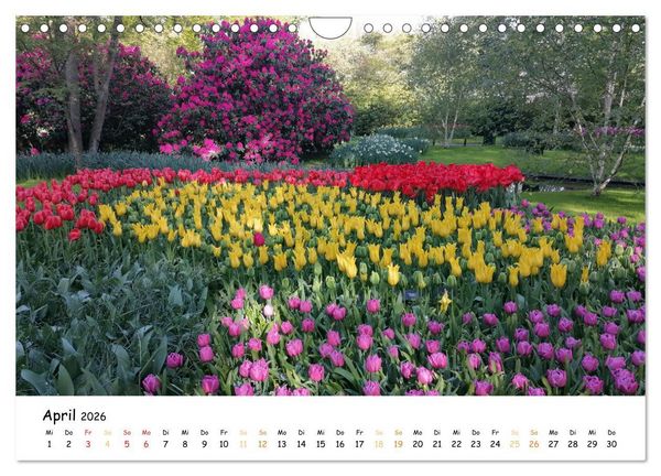 Produktbild: Auf Tour im Land der Tulpen (Wandkalender 2026 DIN A4 quer), CALVENDO Monatskalender