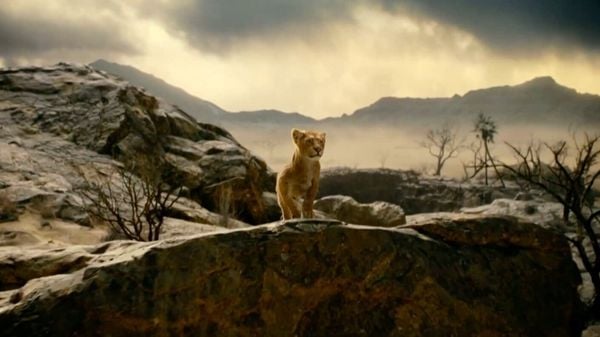Mufasa - Der König der Löwen