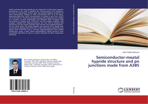 Produktbild: Semiconductor-meatal hypride structure and pn junctions made from A3B5