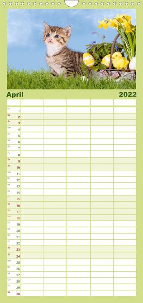 Produktbild: Familienplaner K&auml;tzchen 2022 (Wandkalender 2022 , 21 cm x 45 cm, hoch)