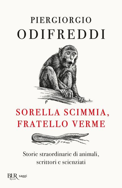 Produktbild: Sorella scimmia, fratello verme. Storie straordinarie di animali, scrittori e scienziati