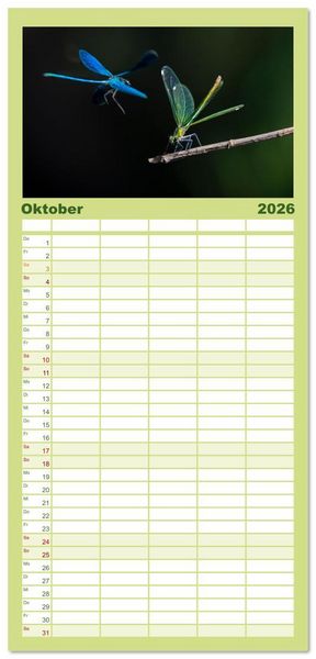 Produktbild: Familienplaner 2026 - Naturwunder Libellen mit 5 Spalten (Wandkalender, 21 x 45 cm) CALVENDO