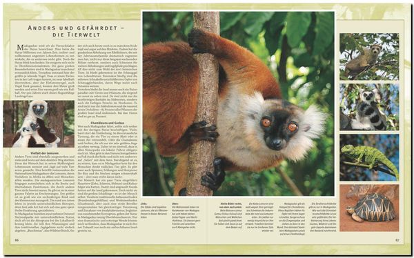 Reise durch Madagaskar