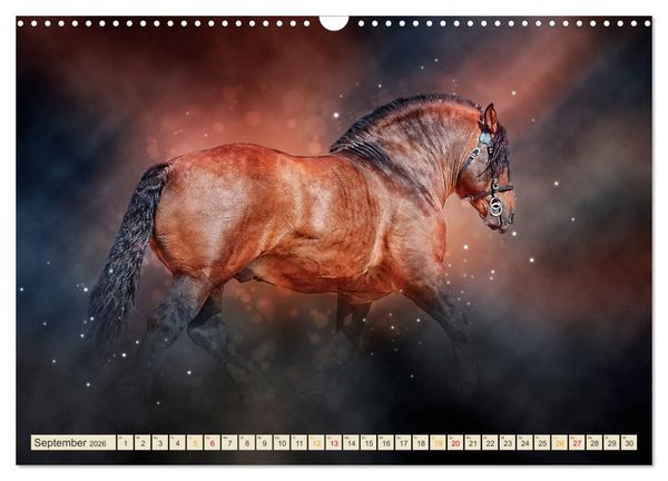 Produktbild: Eleganz und Sch&ouml;nheit - Pferde (Wandkalender 2026 DIN A3 quer), CALVENDO Monatskalender