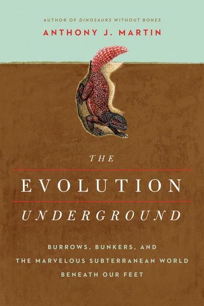 Produktbild: The Evolution Underground