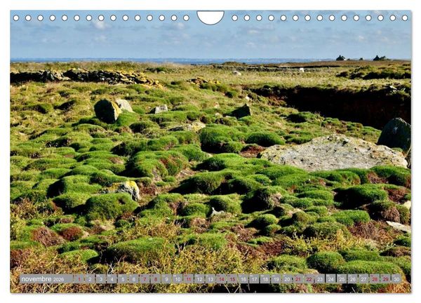 Produktbild: Les &icirc;les conqu&eacute;toises (Calendrier mural 2026 DIN A4 vertical), CALVENDO calendrier mensuel