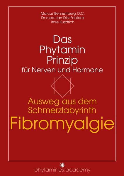 Produktbild: Ausweg aus dem Schmerzlabyrinth Fibromyalgie