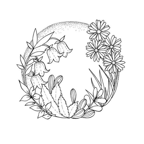 Produktbild: 333 Ausmalen &ndash;&nbsp;Wunder der Natur