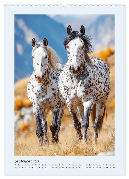 Produktbild: Der Appaloosa. Ein zuverl&auml;ssiges Westernpferd in bunter Optik (hochwertiger Premium Wandkalender 2027 DIN A2 hoch), Kunstdruck in Hochglanz
