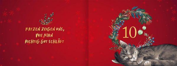 Produktbild: Pfoten vom Tannenbaum