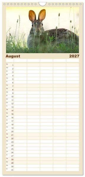 Produktbild: Familienplaner 2027 - Hasen - Die niedlichen Hoppeltiere. mit 5 Spalten (Wandkalender, 21 x 45 cm) CALVENDO