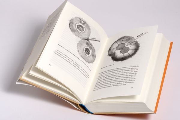 Der Hund Als Spiegel Des Menschen "Der Hund als Spiegel des Menschen" online kaufen