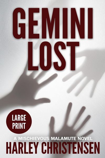 Produktbild: Gemini Lost