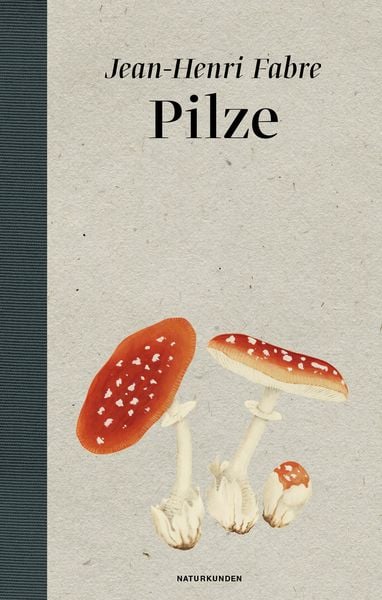 Pilze, Gebundene Ausgabe von Jean-Henri Fabre, Matthes & Seitz, 978-3-95757-031-4