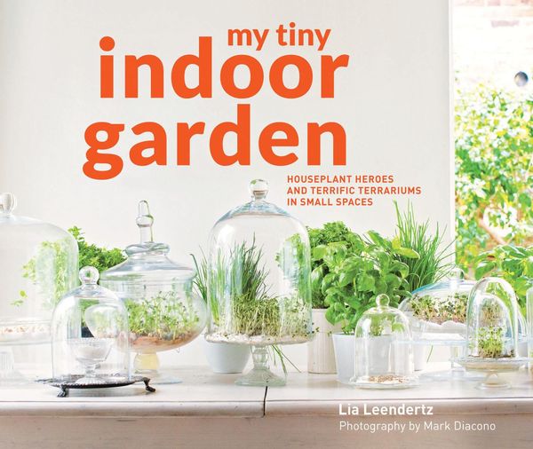 Produktbild: My Tiny Indoor Garden
