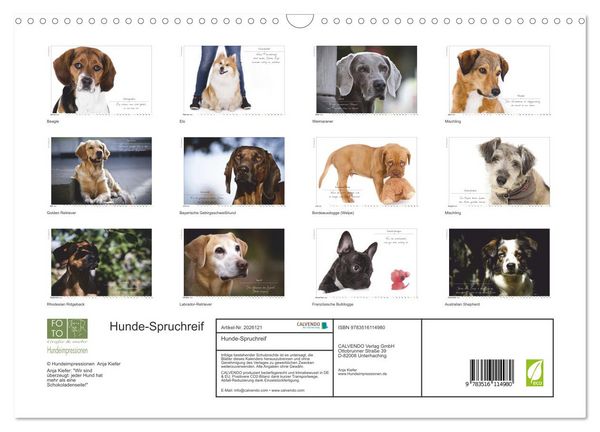 Produktbild: Hunde-Spruchreif (Wandkalender 2026 DIN A3 quer), CALVENDO Monatskalender