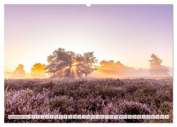 Produktbild: Bunter Pf&auml;lzerwald (Wandkalender 2026 DIN A2 quer), CALVENDO Monatskalender