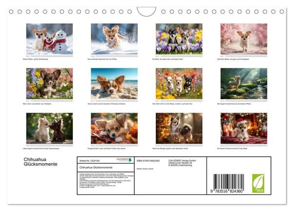 Produktbild: Chihuahua Gl&uuml;cksmomente (Wandkalender 2027 DIN A4 quer), CALVENDO Monatskalender