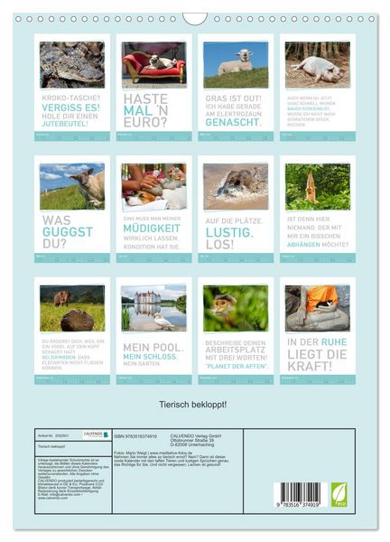 Produktbild: Tierisch bekloppt! (Wandkalender 2026 DIN A3 hoch), CALVENDO Monatskalender