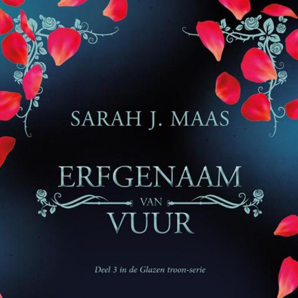 Produktbild: Erfgenaam van vuur