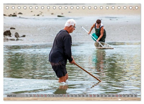 Produktbild: Bretagne und Normandie - Vor der Flut beobachten und entdecken (Tischkalender 2026 DIN A5 quer), CALVENDO Monatskalender