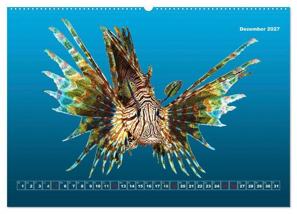 Produktbild: Unterwasser-Galerie (hochwertiger Premium Wandkalender 2027 DIN A2 quer), Kunstdruck in Hochglanz